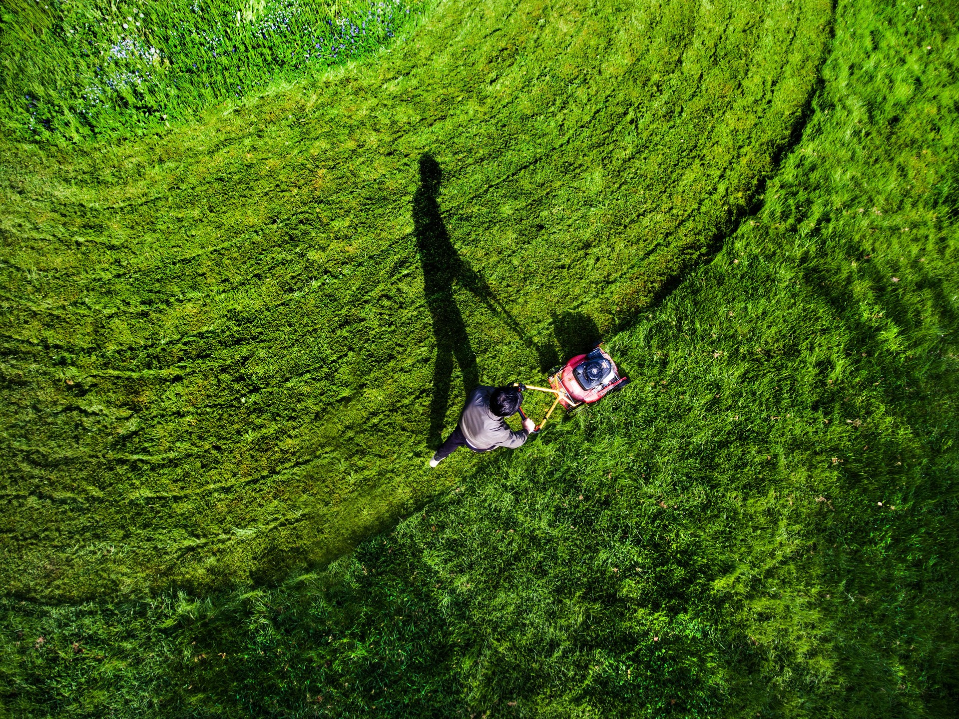 Aerial View Grass Trimming Lawnmower